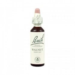 Fleurs de Bach 33 Walnut - Noyer 20ml