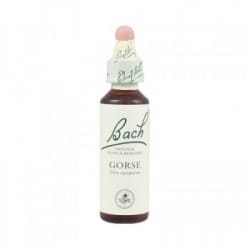 Fleurs de Bach 13 Gorse - Ajonc 20ml