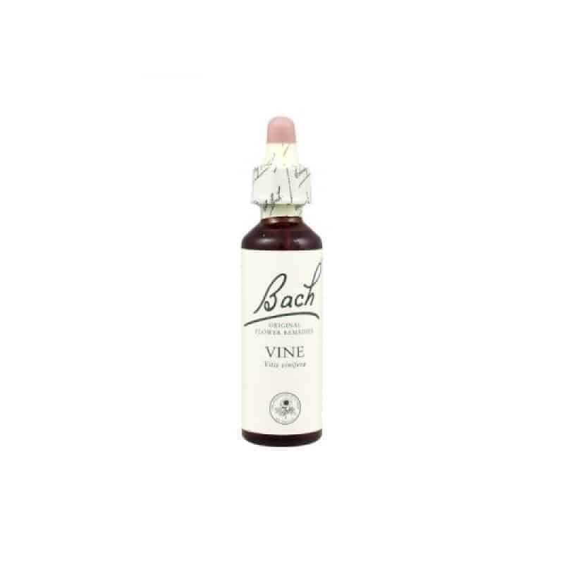 Fleurs de Bach 32 Vine - Vigne 20ml