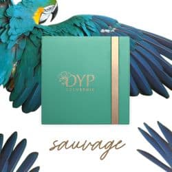 Dyp Ecrin VIDE coffret 104