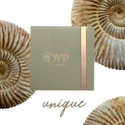 Dyp Ecrin VIDE coffret 101